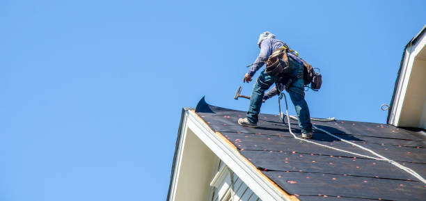 Best Roof Gutter Cleaning  in Moriches, NY